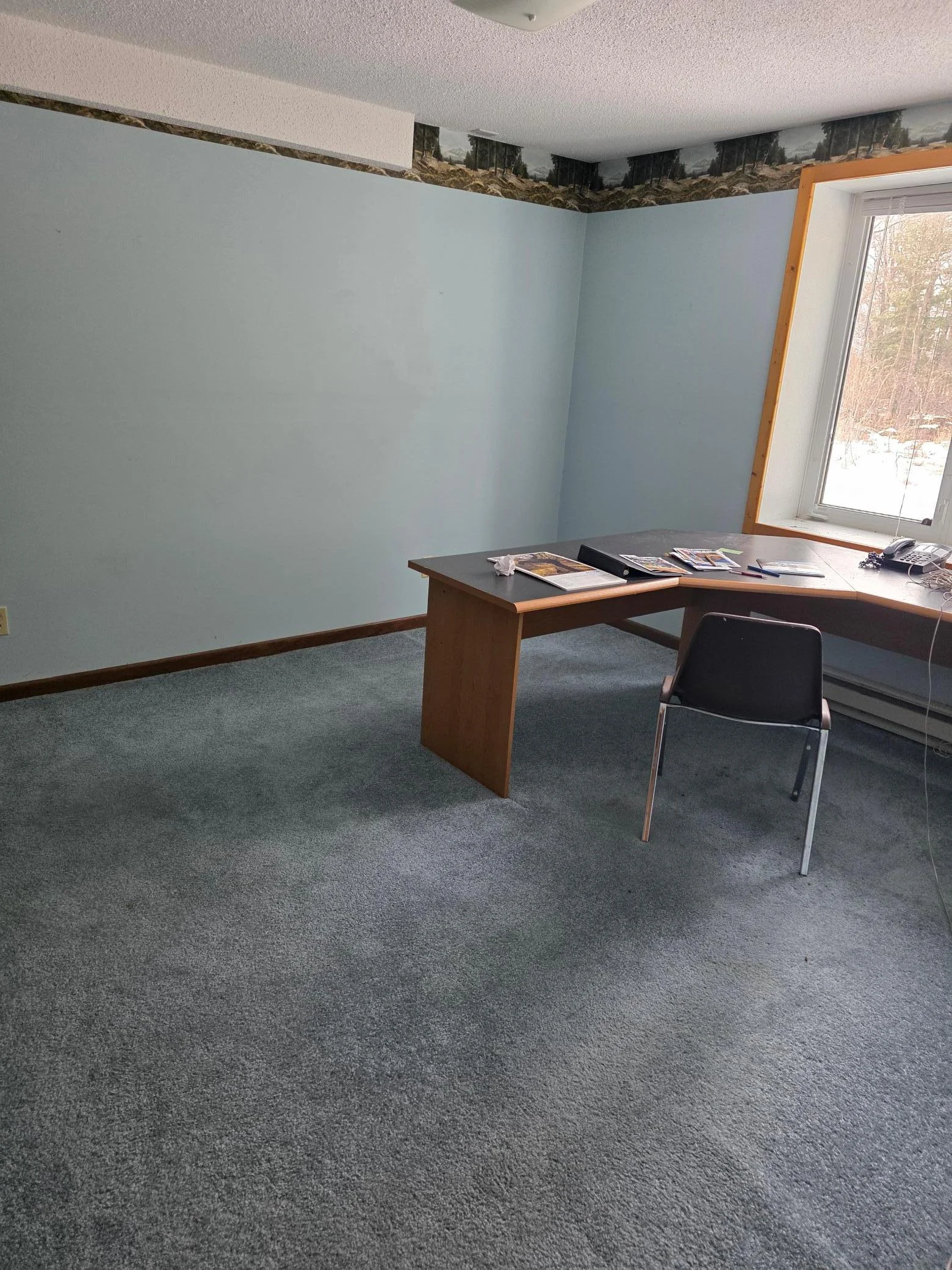 Basement Bedroom.jpg