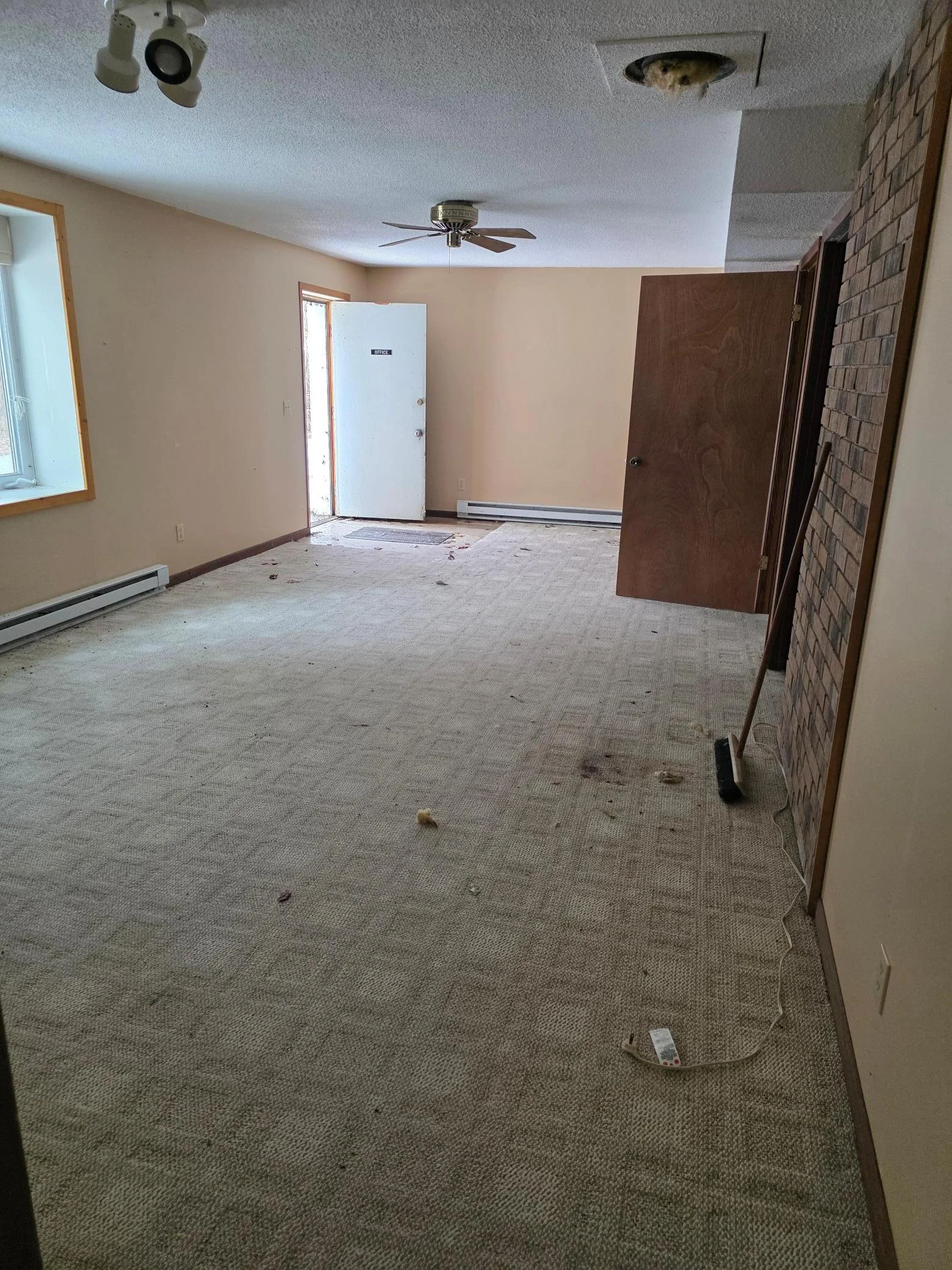 Basement Living Room.jpg