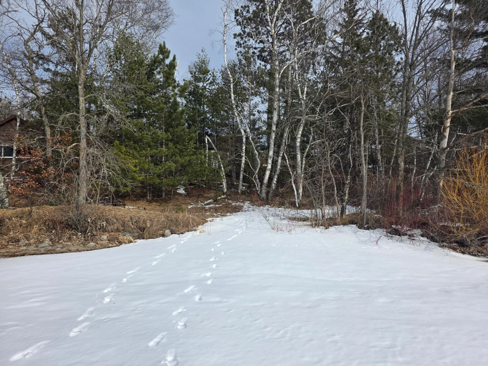 View from Lake.jpg