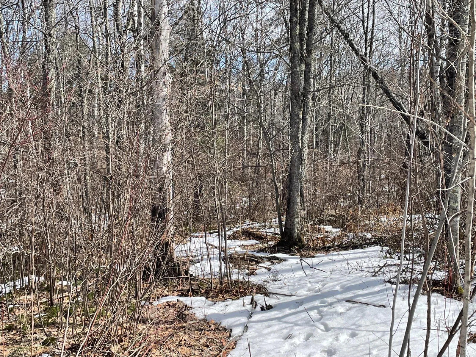 Portage Lot 9