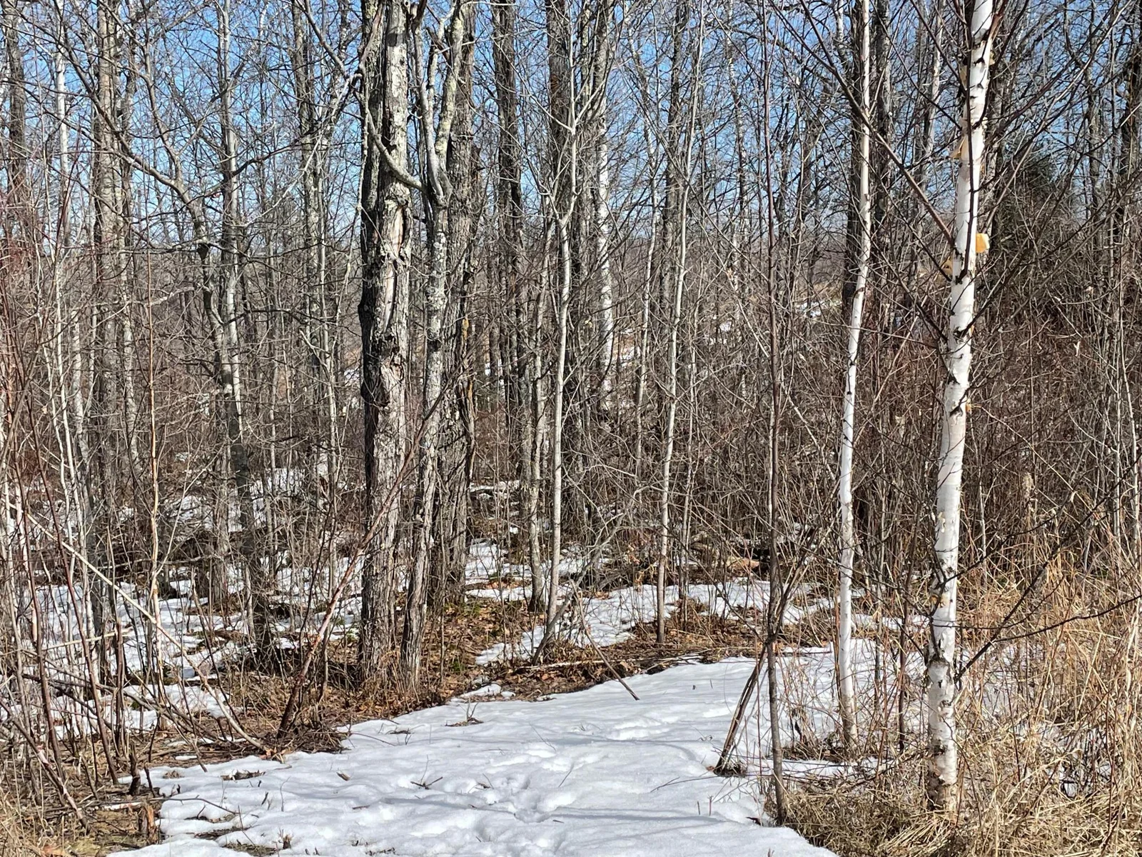 Portage Lot 9