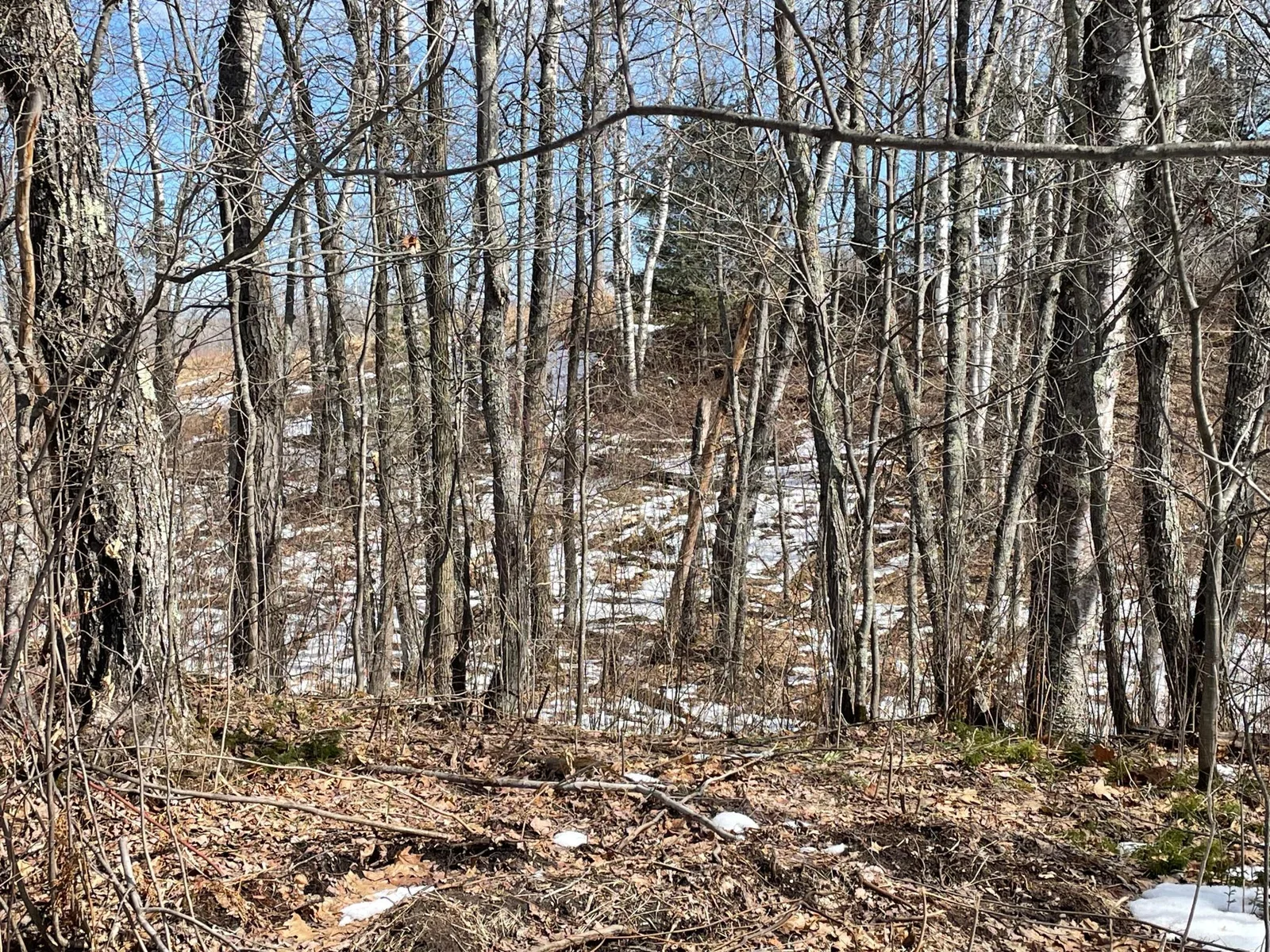 Portage Lot 9