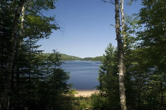 Wynne Lake
