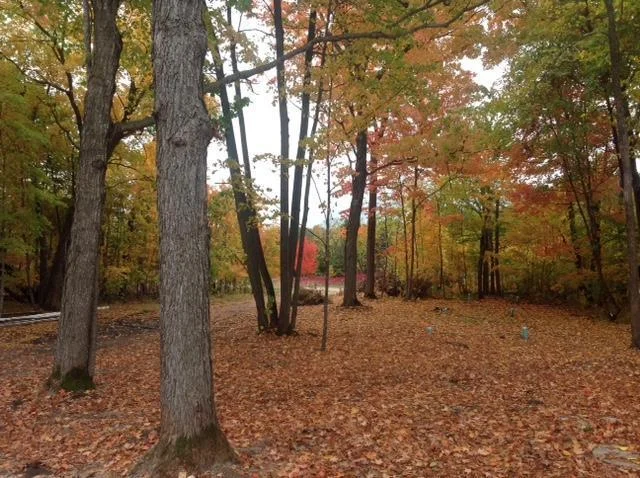 Long Lake Fall Yard view.JPG