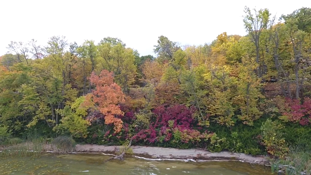 Long Lake Fall Lake shore.PNG