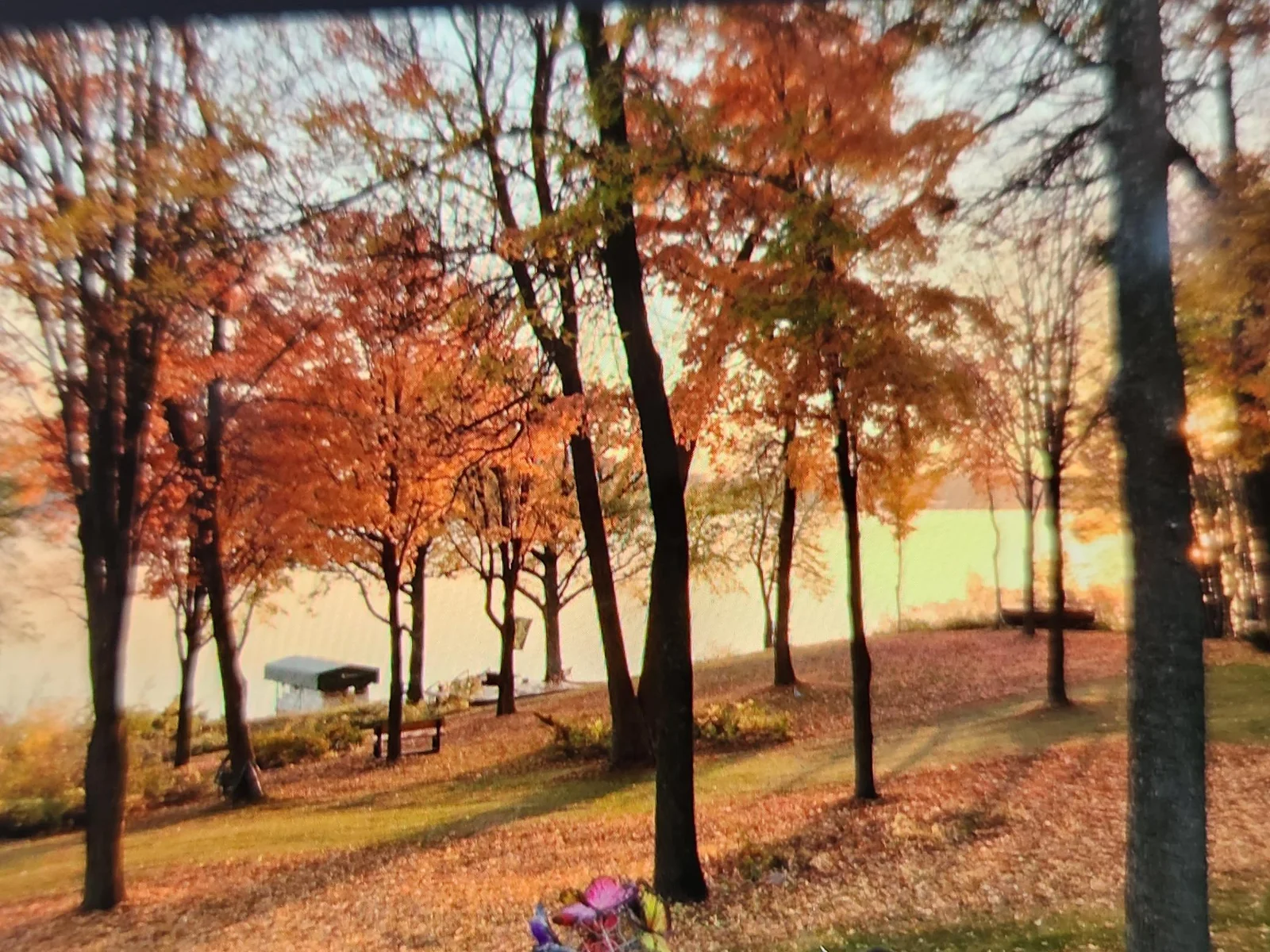 Fall pictures