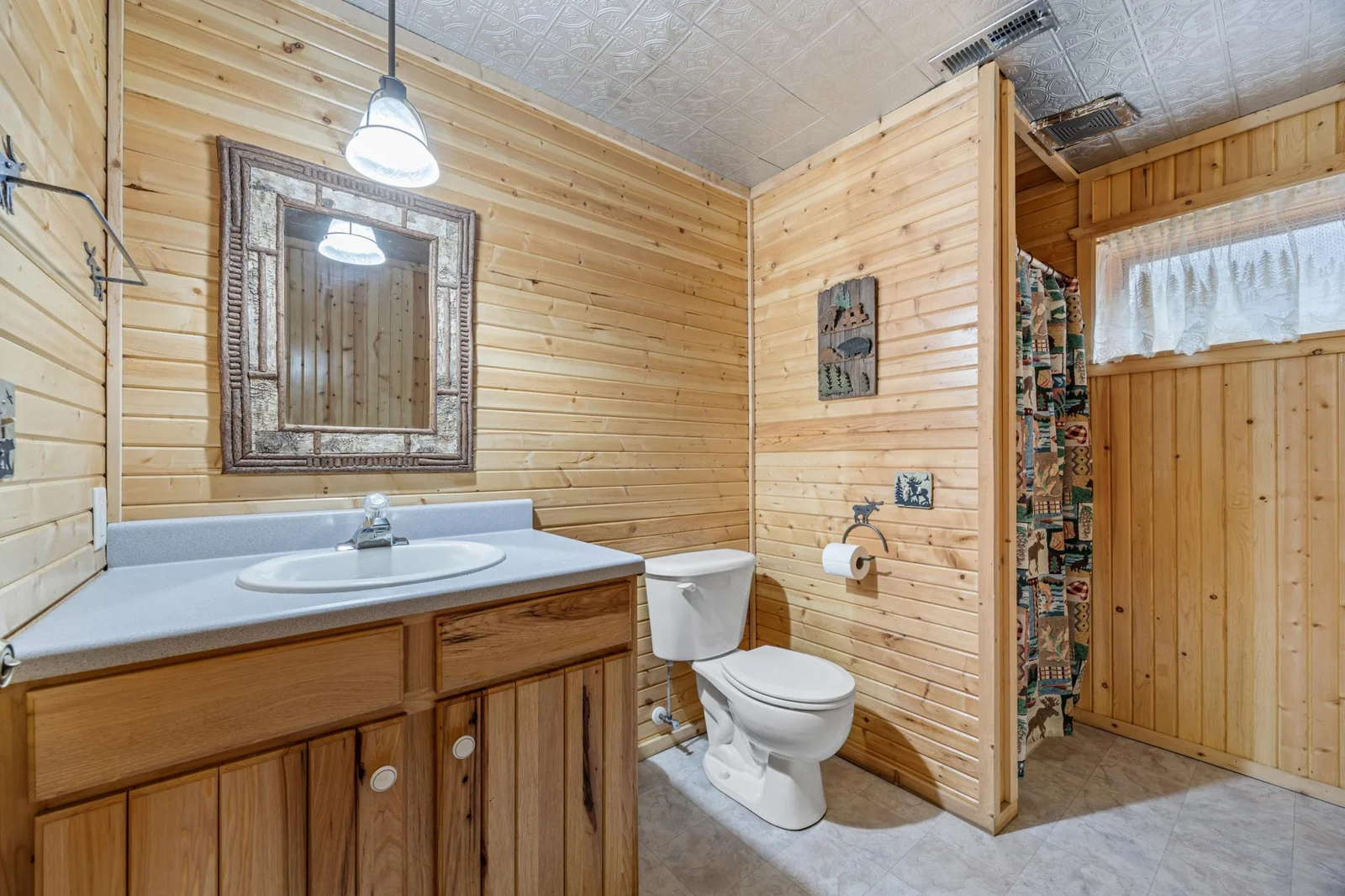 Lower level bathroom