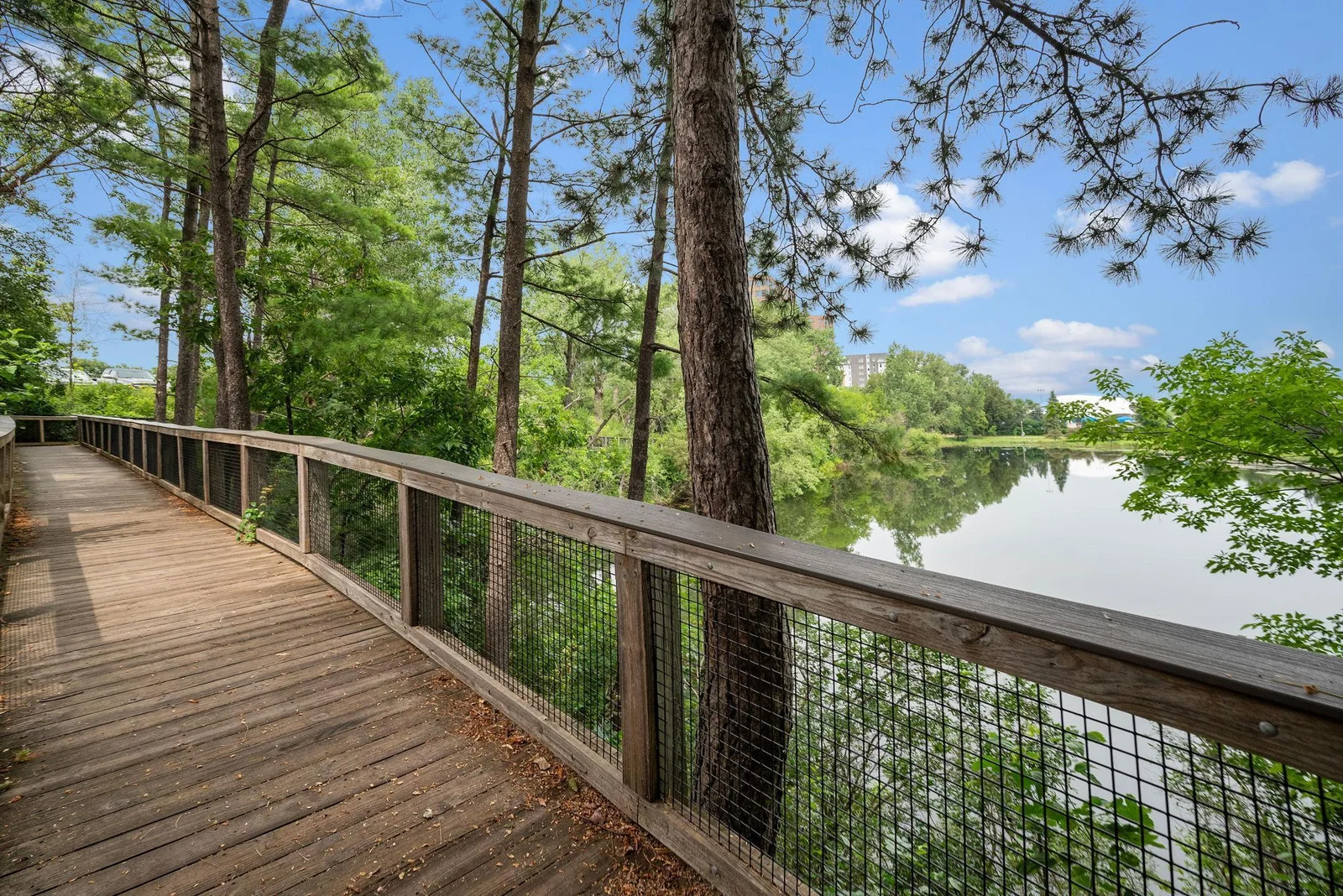 Beautiful walking paths all the way around the lake and park.  Serene in every season.