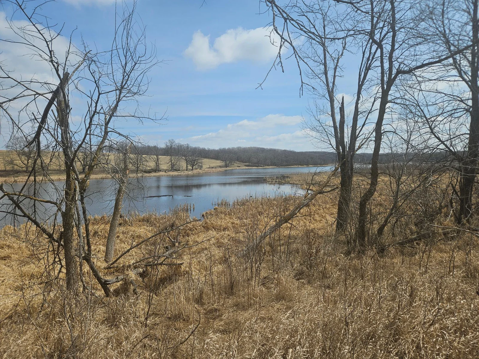 Thumbnail photo 6