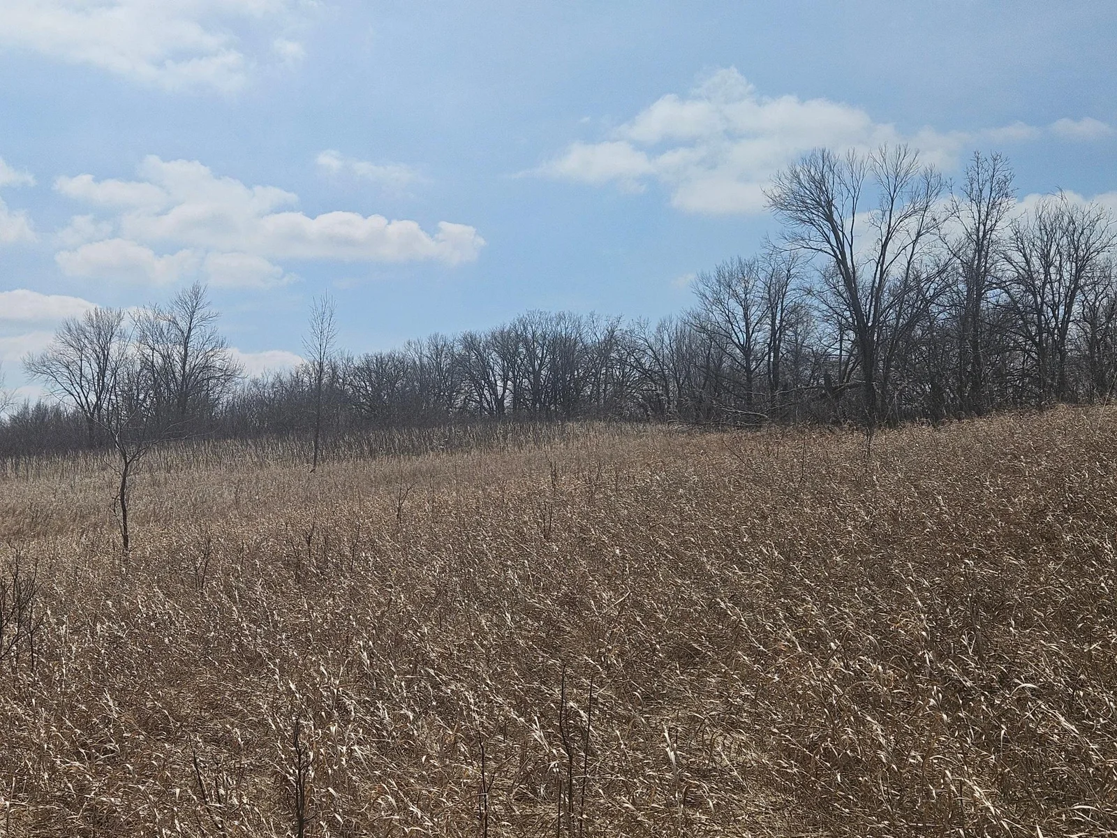 Thumbnail photo 12