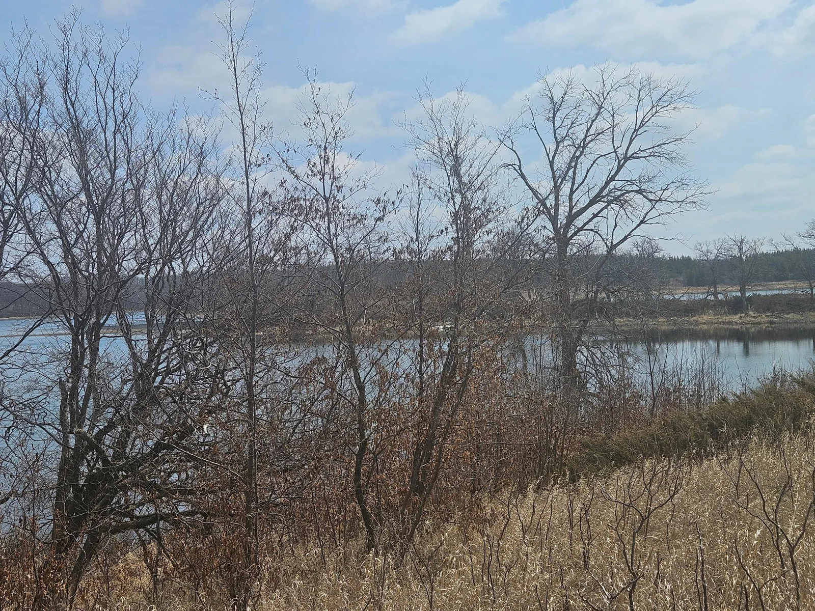Thumbnail photo 15
