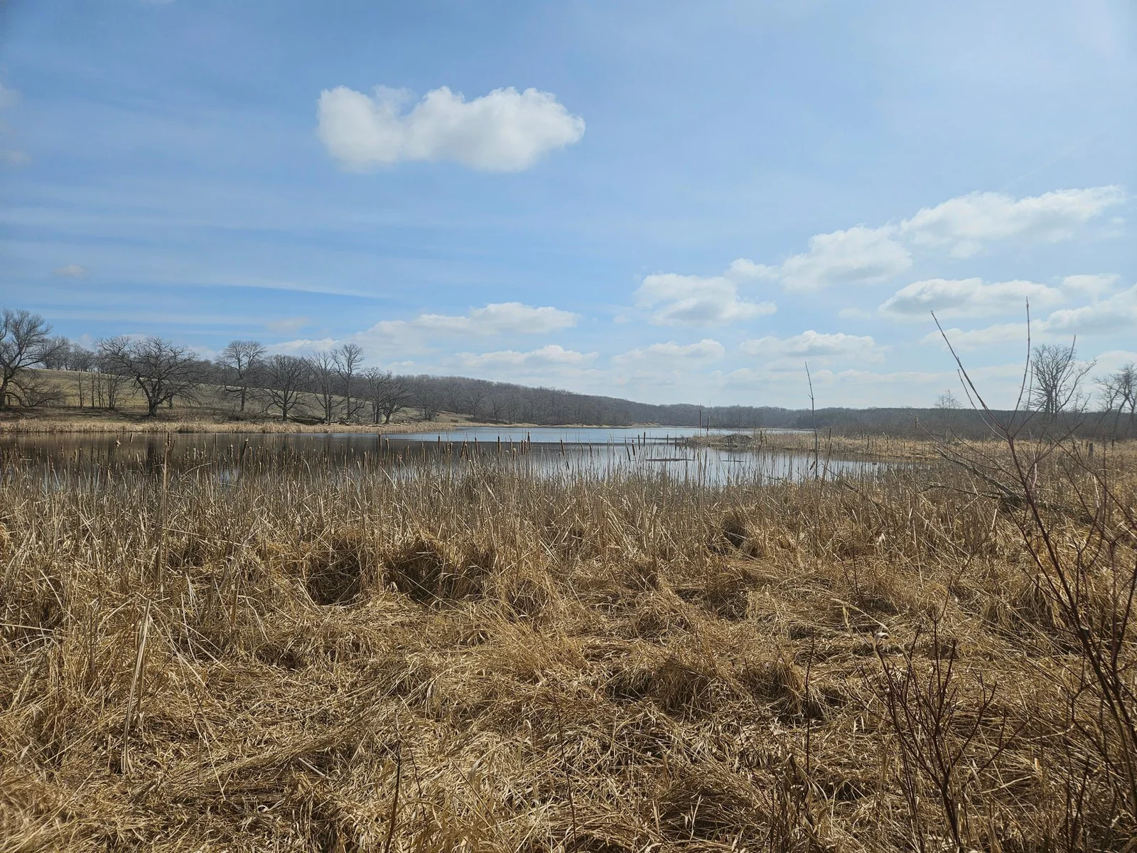 Thumbnail photo 8