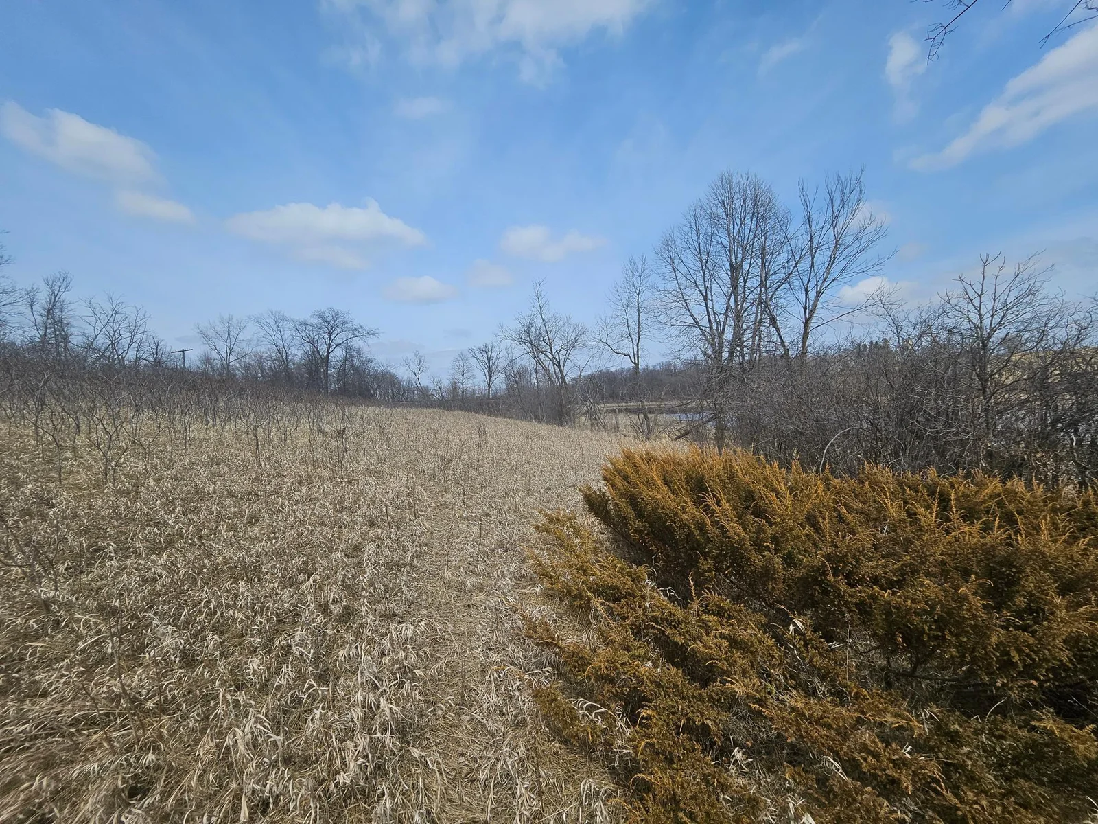 Thumbnail photo 9