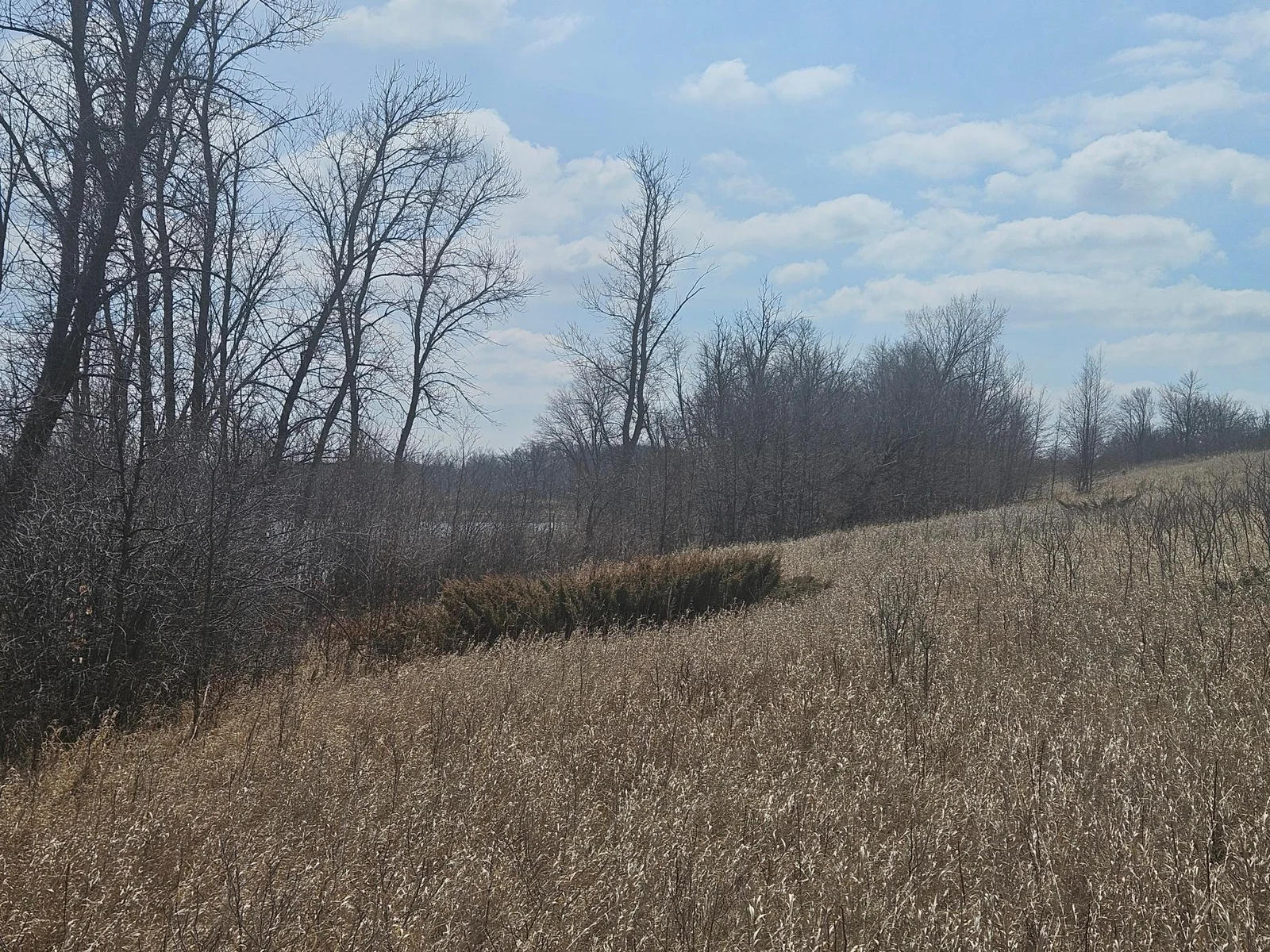 Thumbnail photo 7