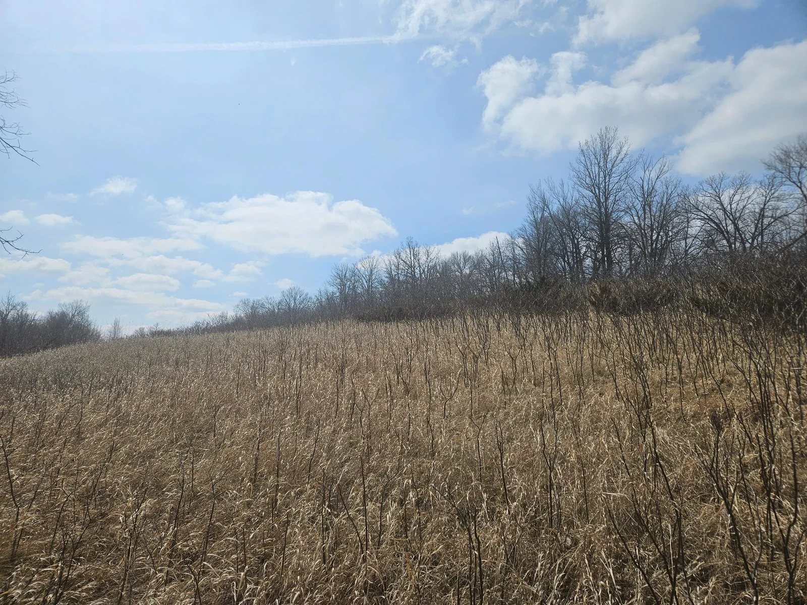 Thumbnail photo 5