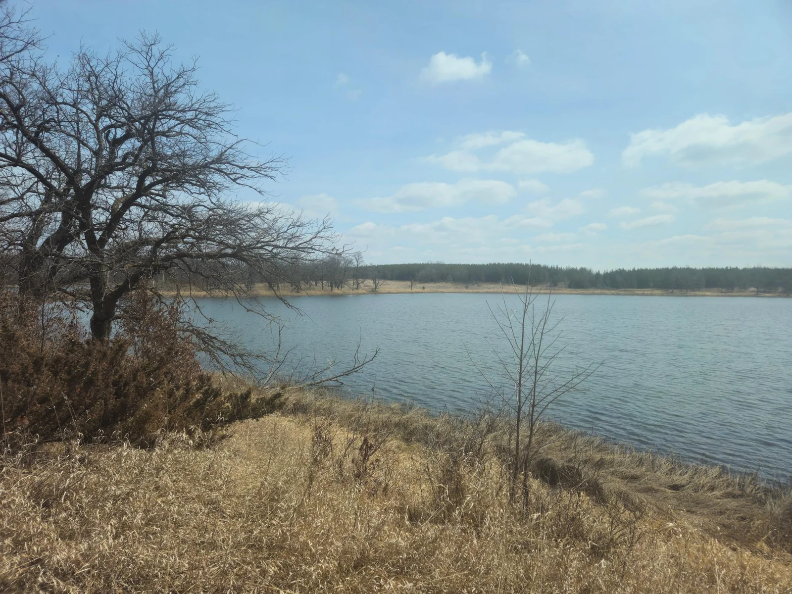 Thumbnail photo 11