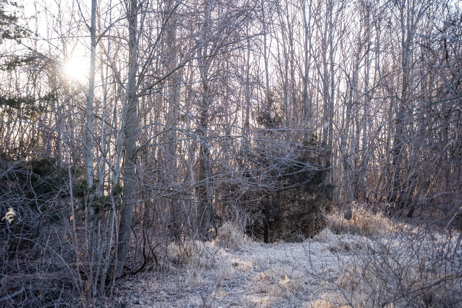HennepinMinnesota120-096.jpg