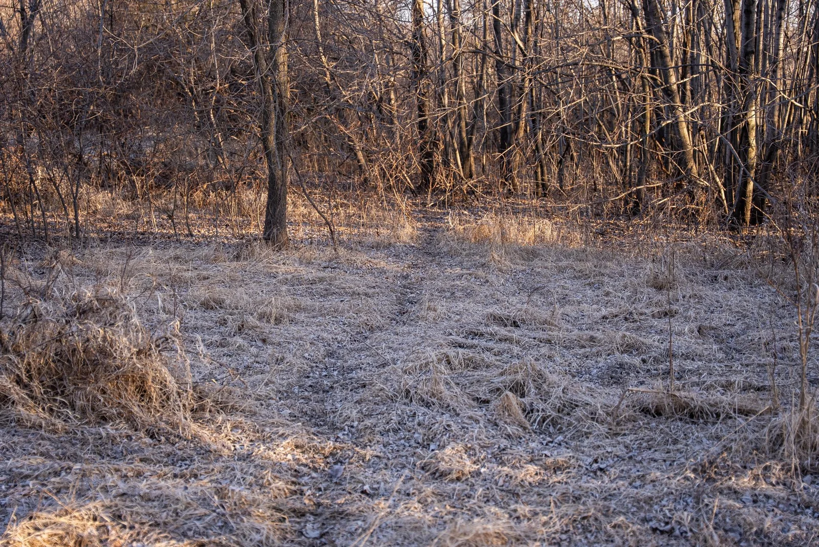 HennepinMinnesota120-092.jpg