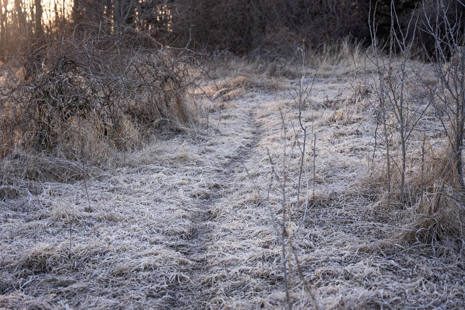 HennepinMinnesota120-097.jpg