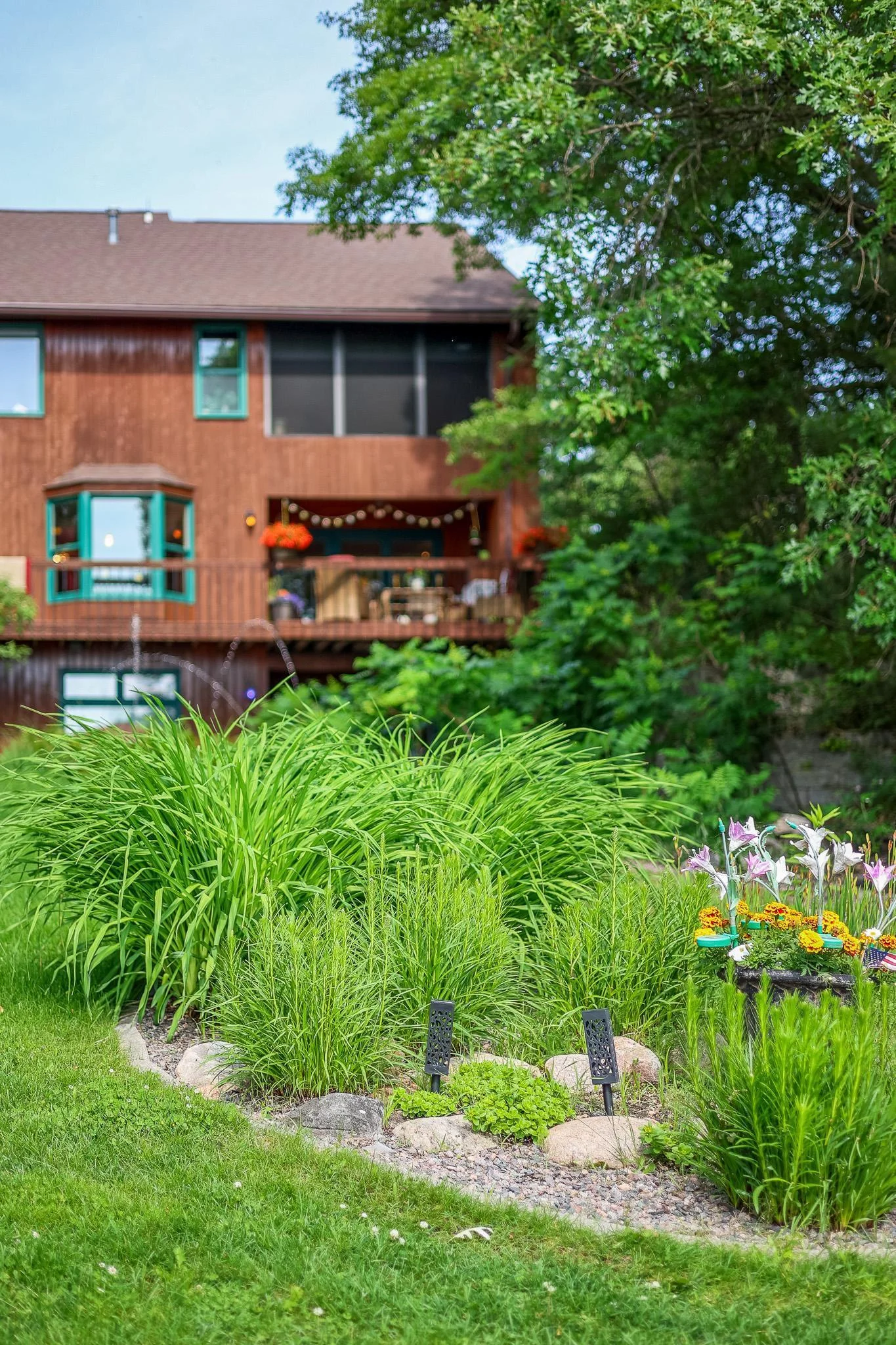 Established Perennials