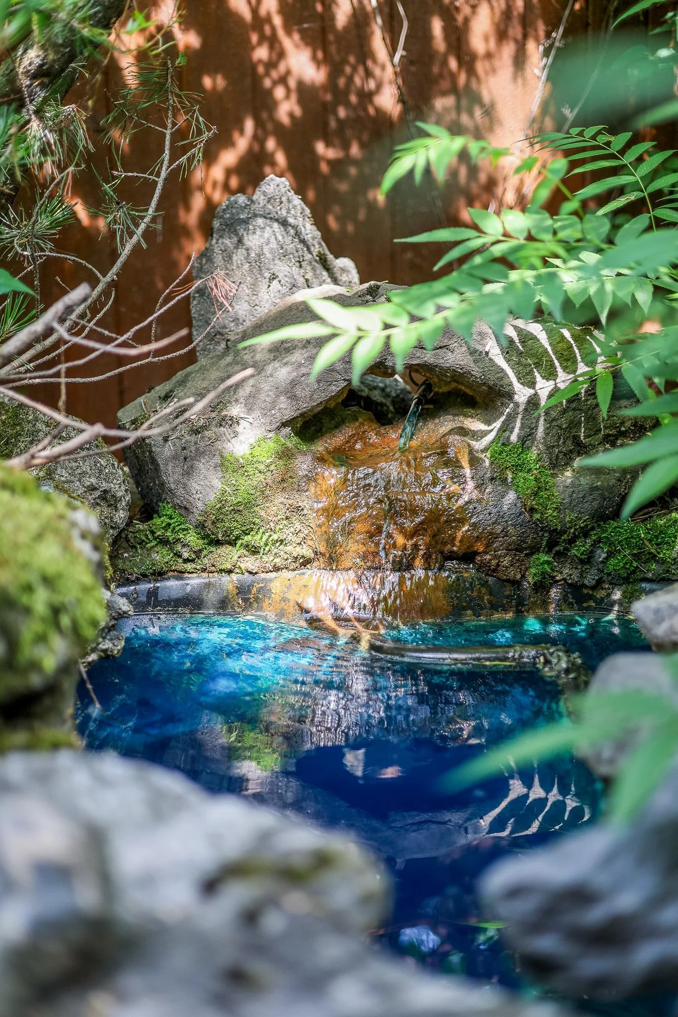 Your Private Oasis