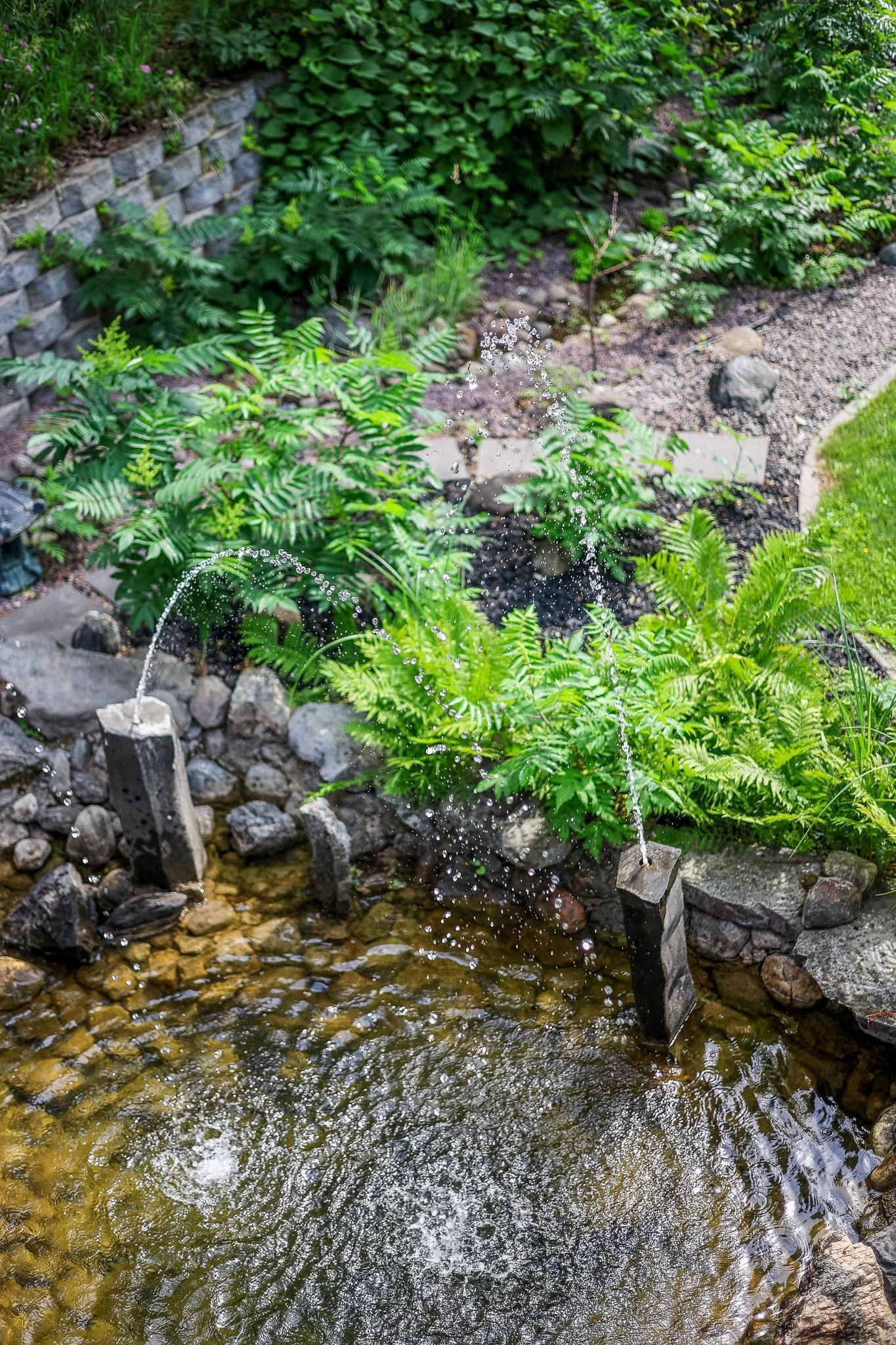 Beautiful Pond with Fountains