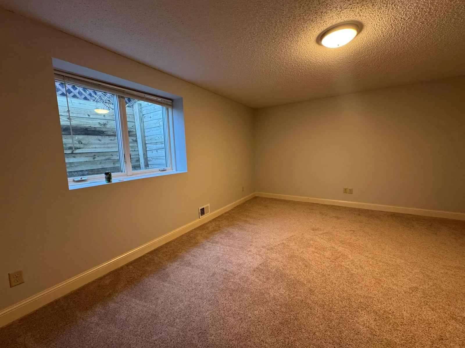 Basement family room