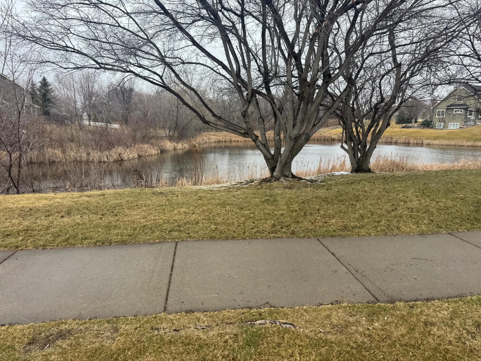 Lots of nature on the walking pathss and a pond.