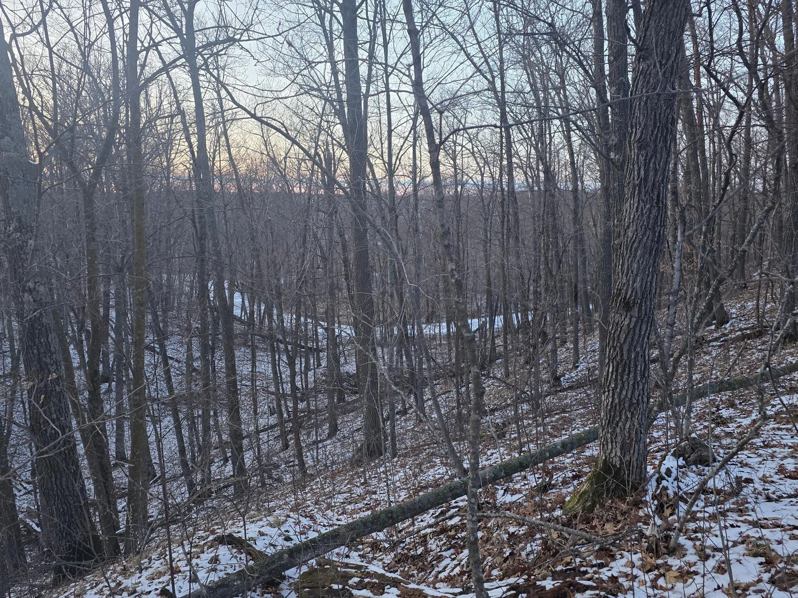 Sugarbush Circle