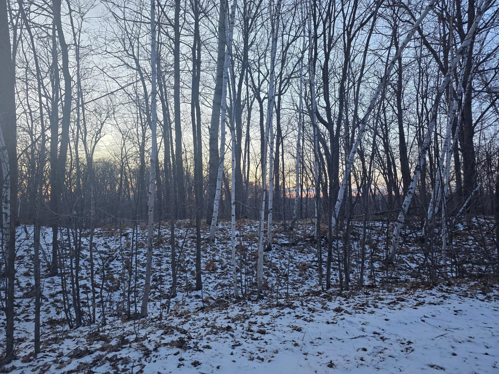 Sugarbush Circle