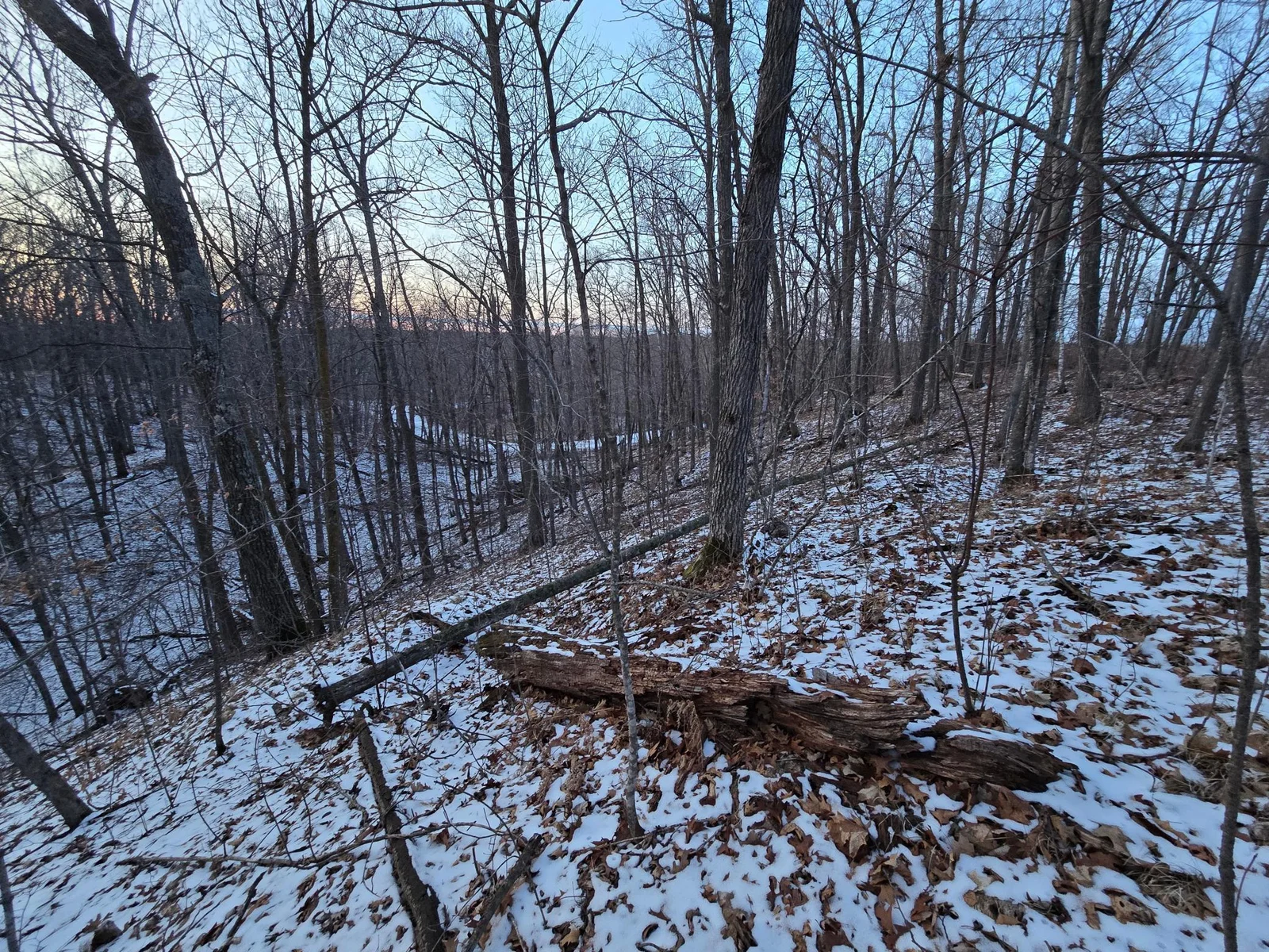Sugarbush Circle