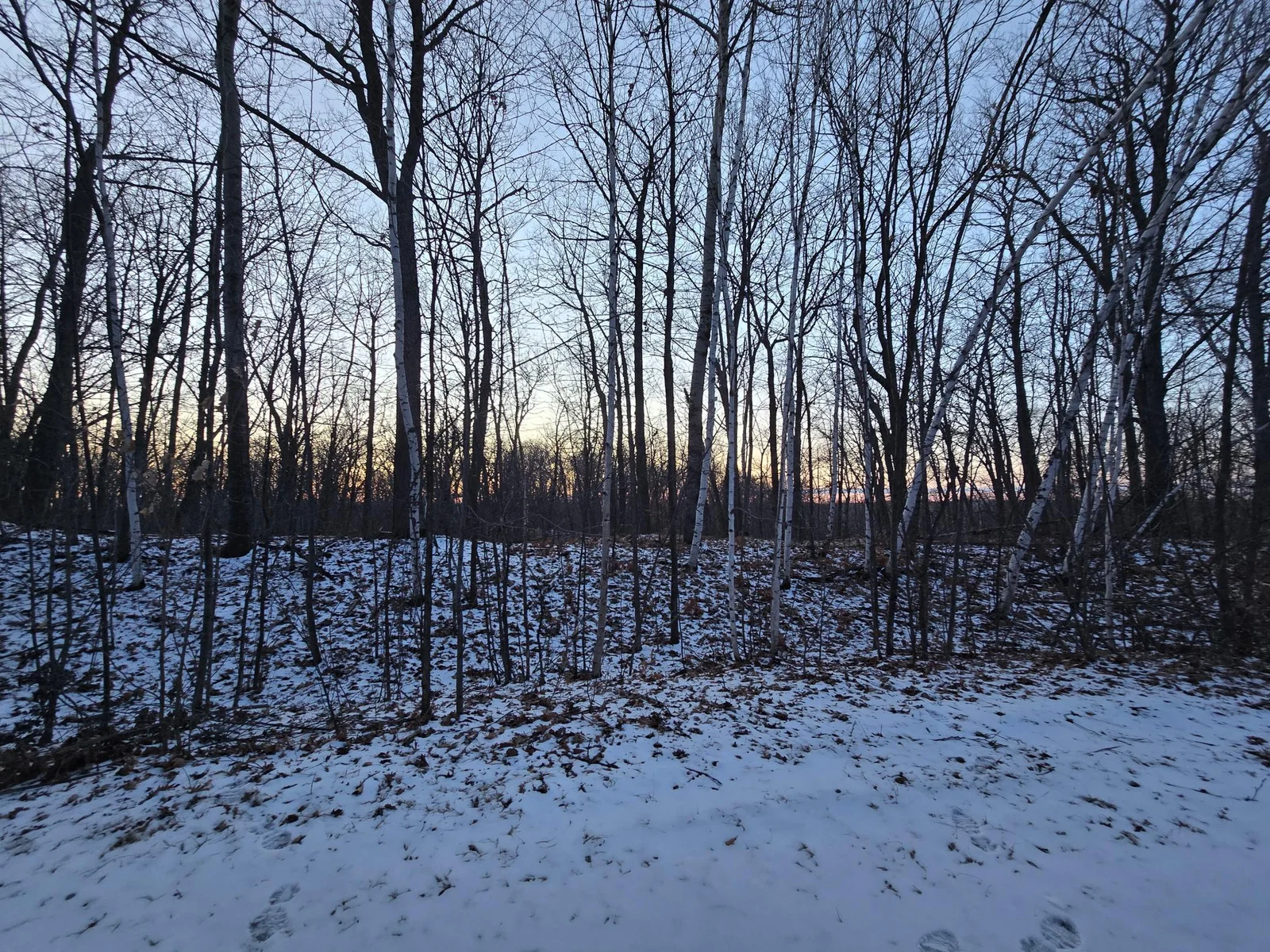 Sugarbush Circle