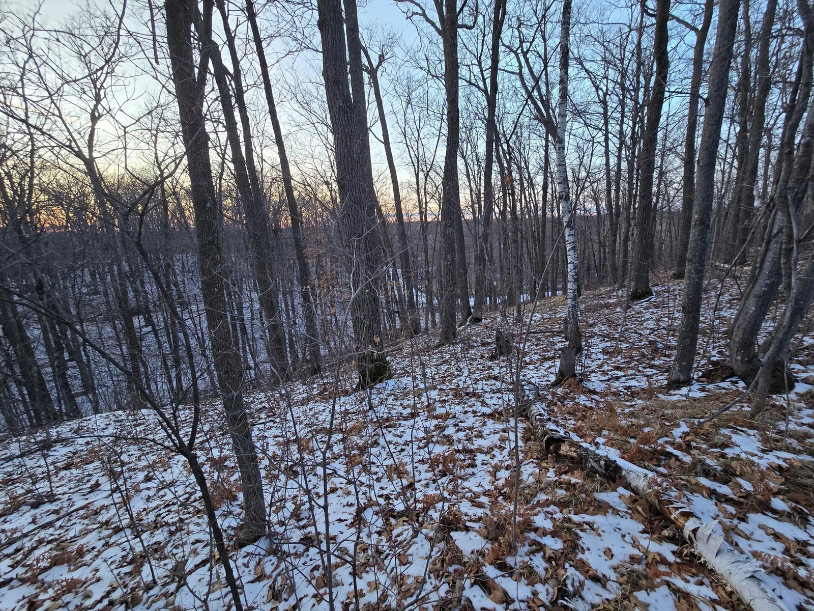 Sugarbush Circle