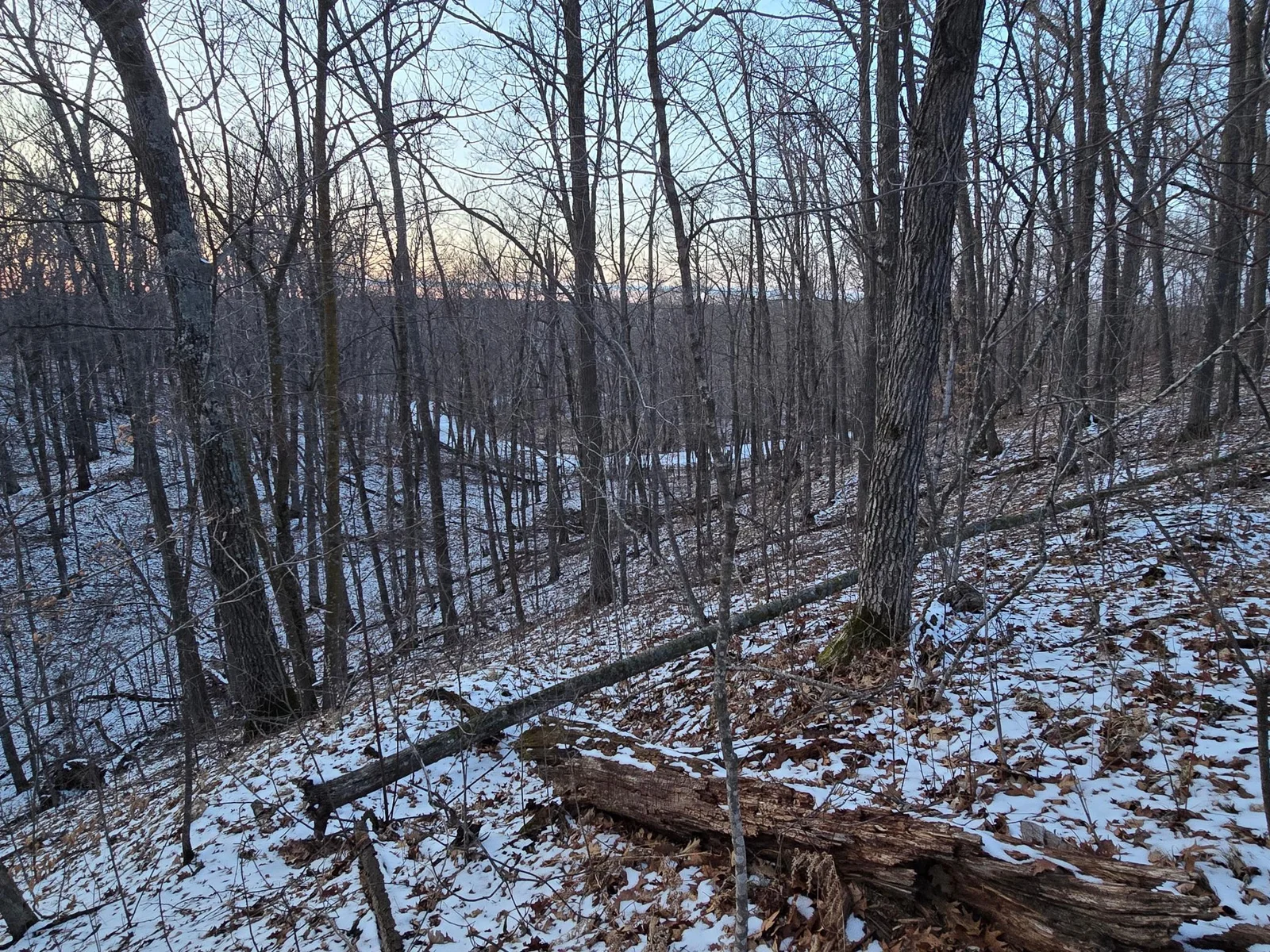 Sugarbush Circle