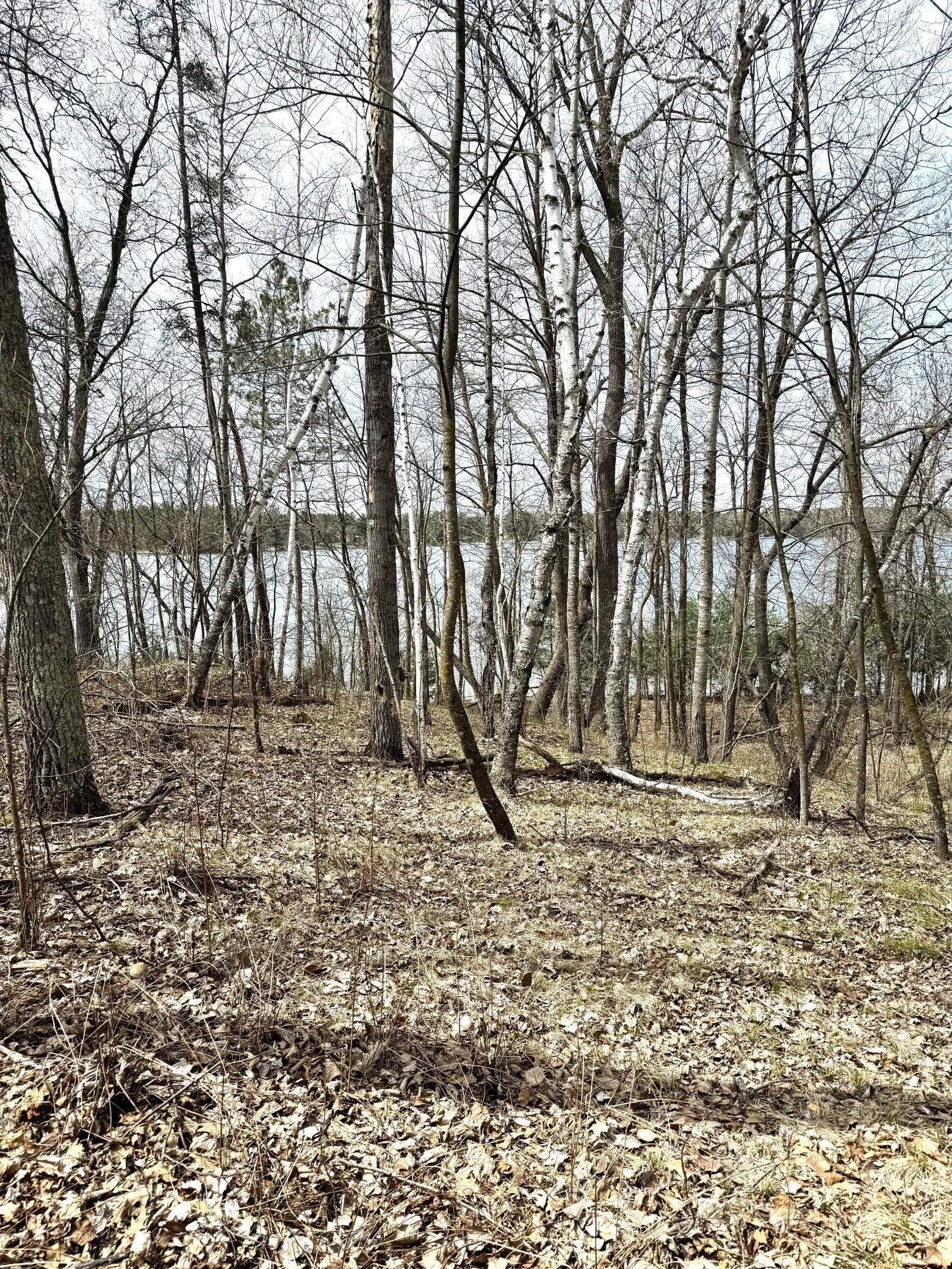 Thumbnail photo 5