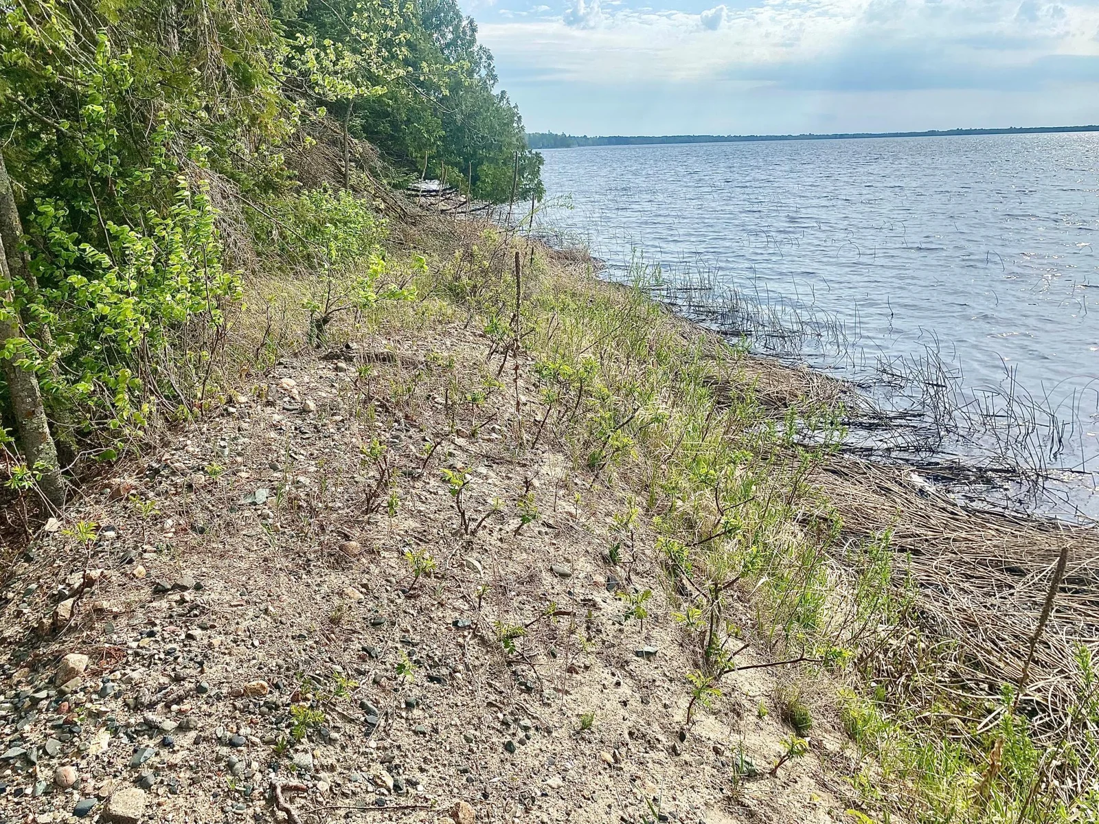 200 Feet of Shoreline