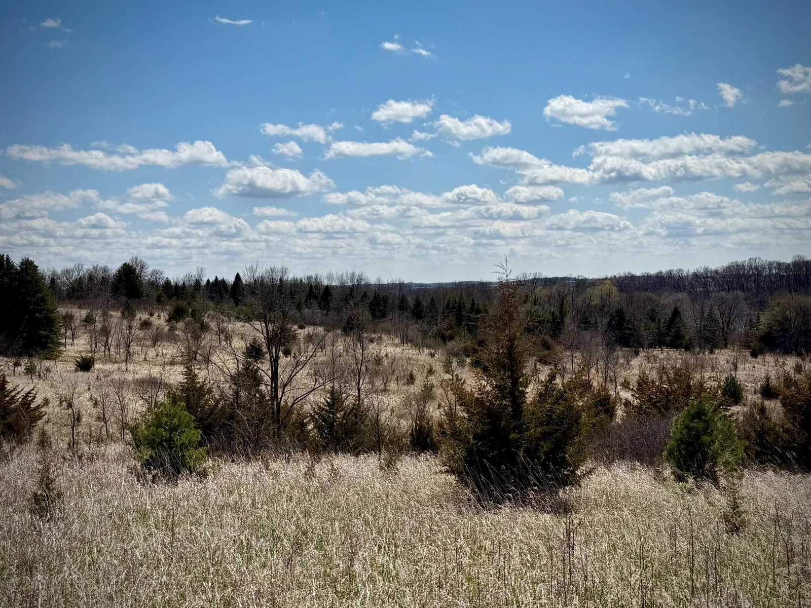 Thumbnail photo 33
