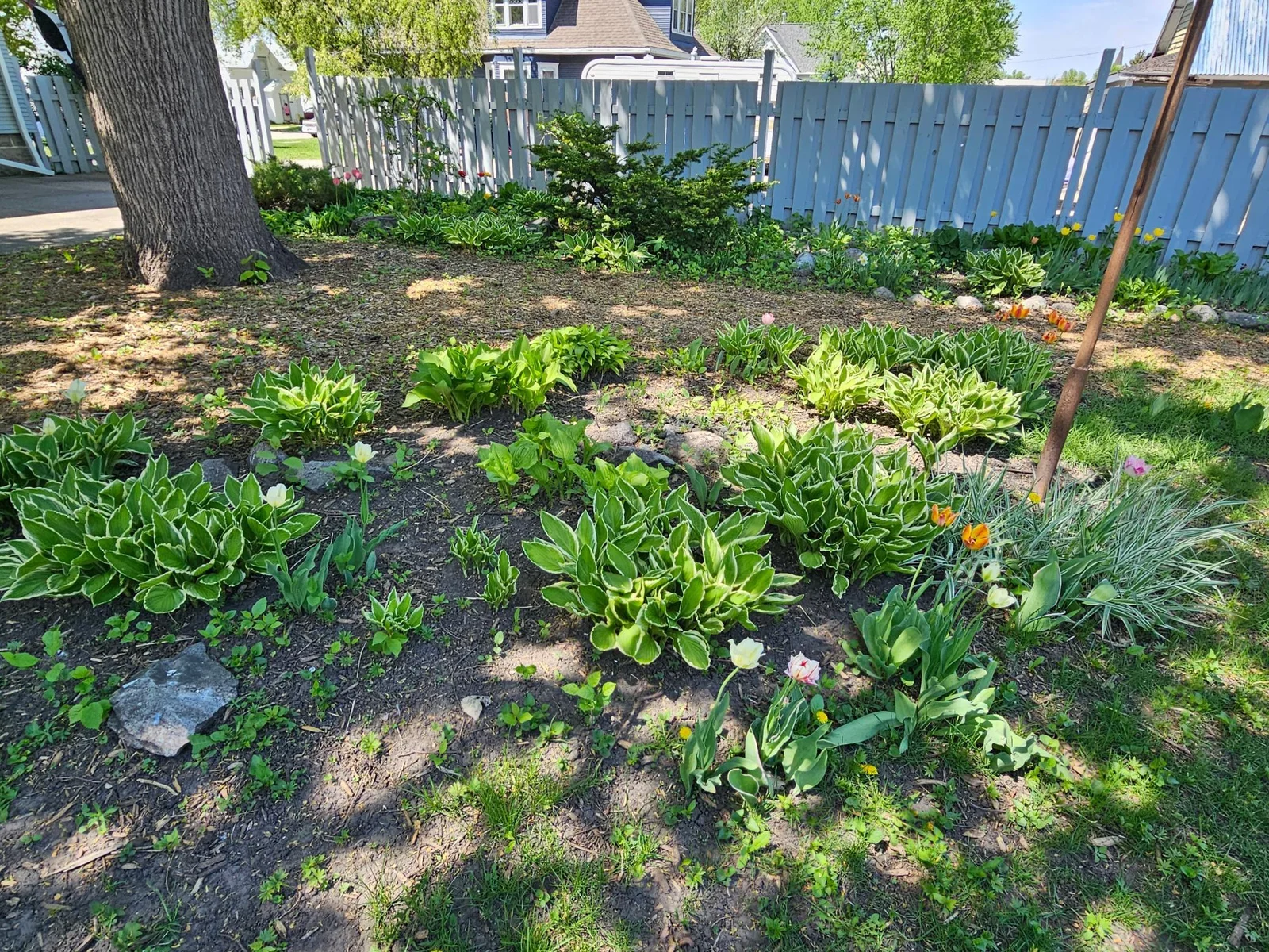 Landscaping