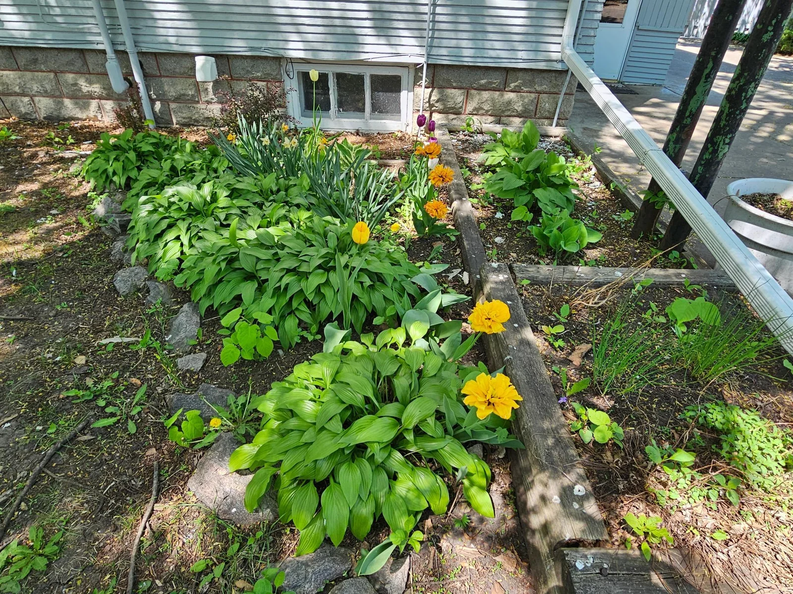 Landscaping