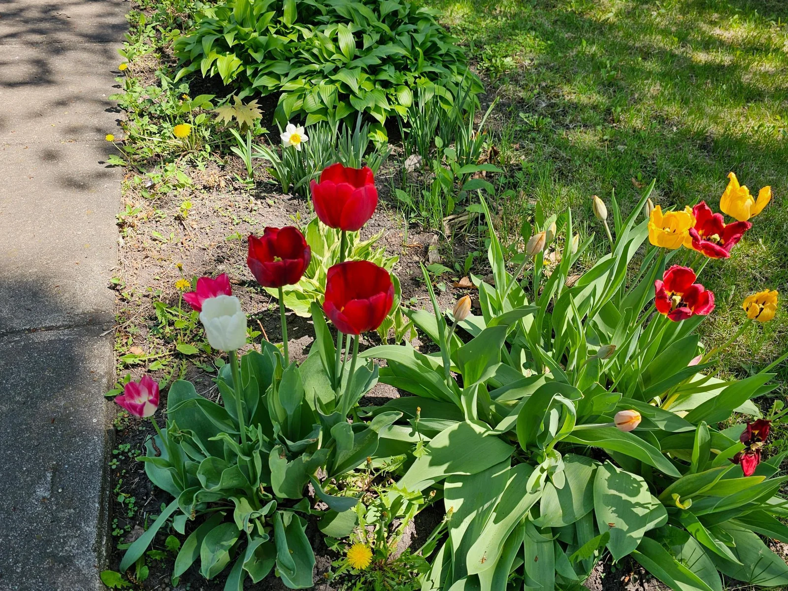 Landscaping