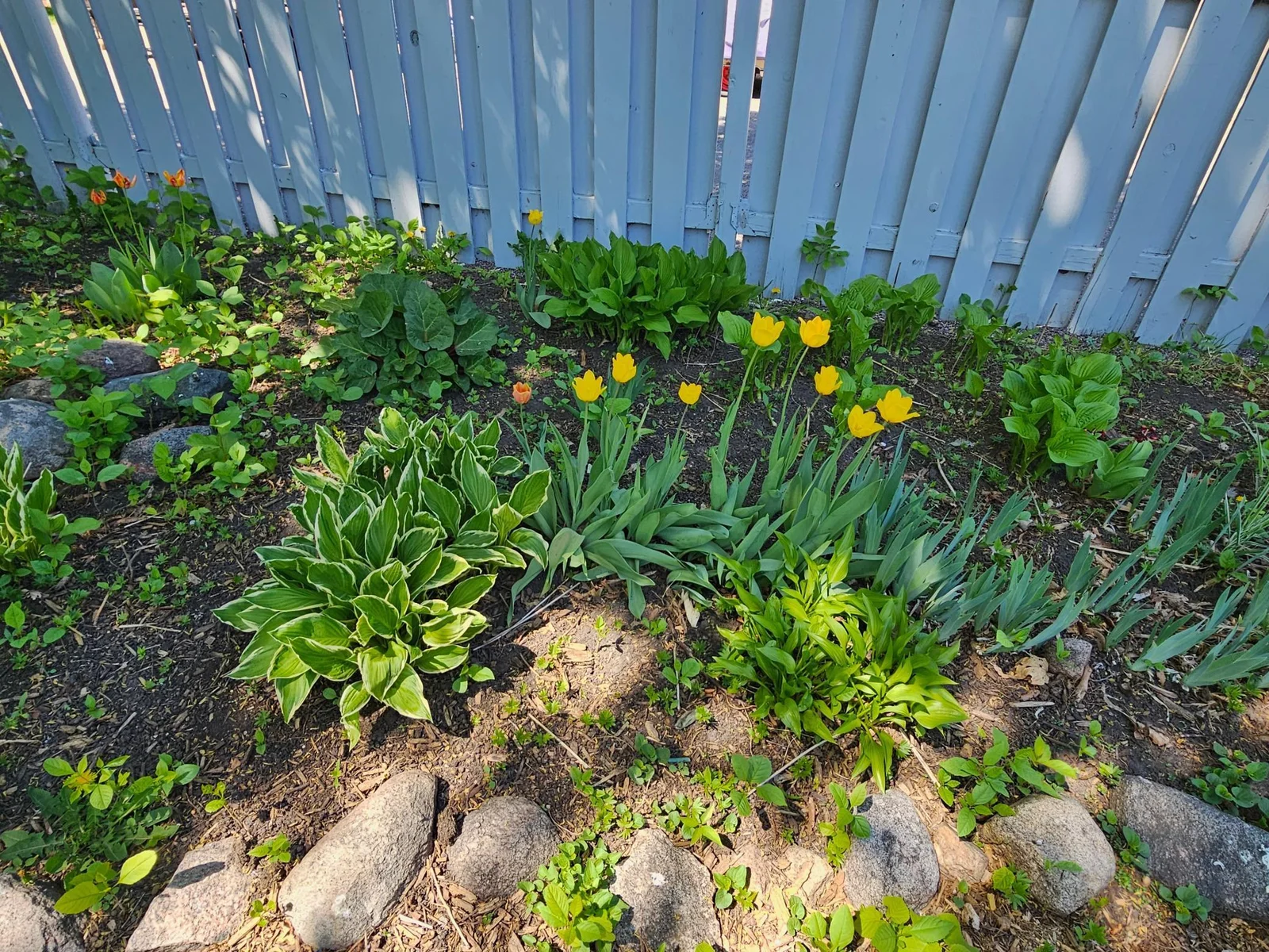 Flower Beds