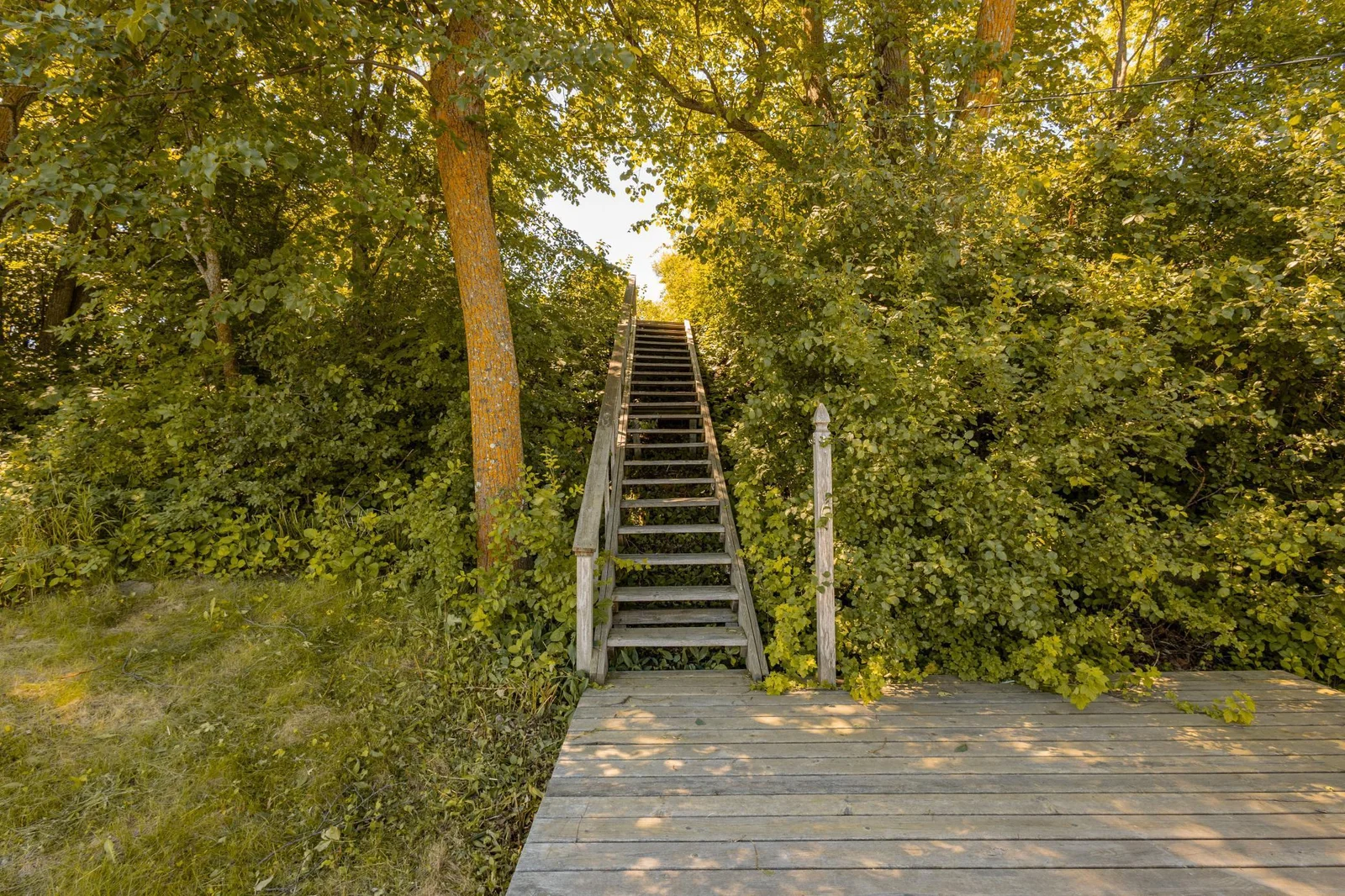 Stairs to Cabin