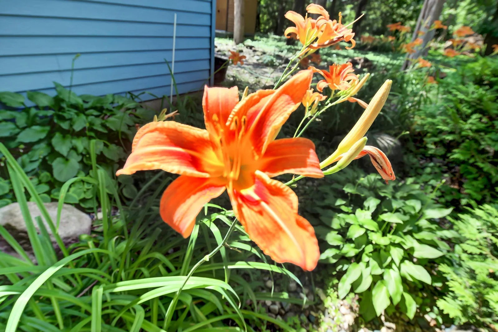 Thumbnail photo 10