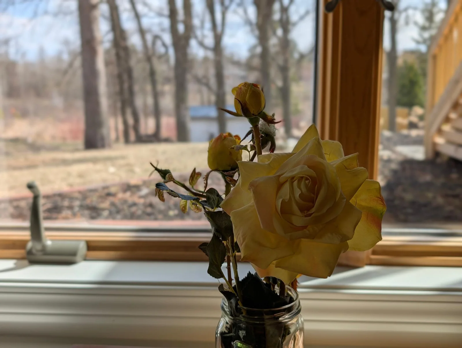 Natural Light in every room.