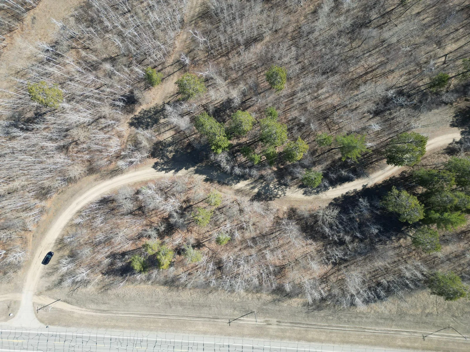 18-dji_fly_20250421_101812_175_1745248846837_photo.jpg