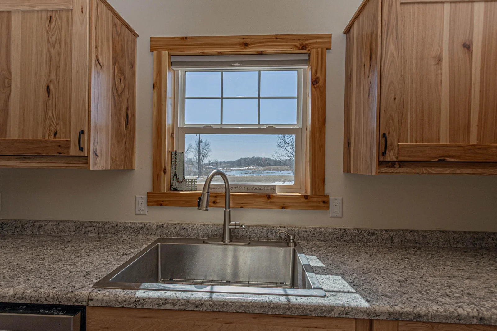 Kitchen Window.jpg