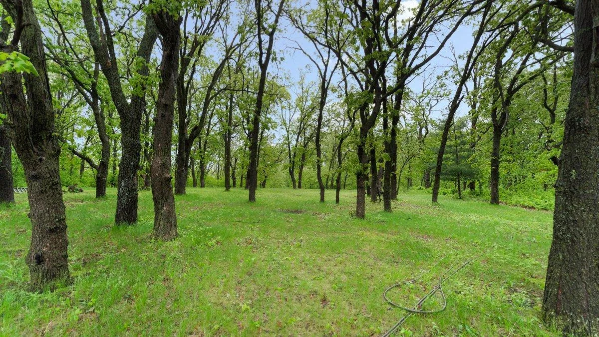 Approximately 6 acres are heavily wooded.