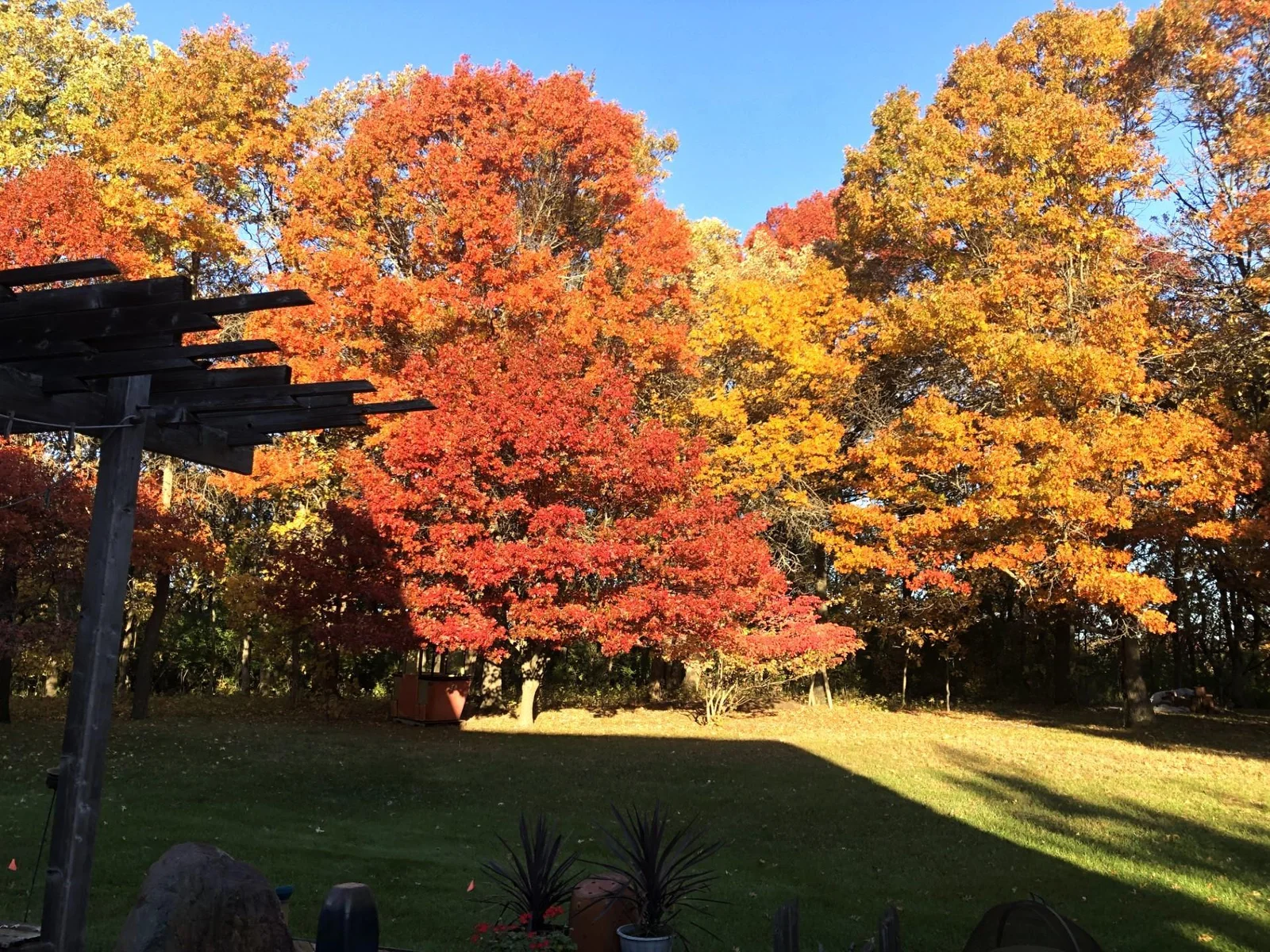 Beautiful fall colors.