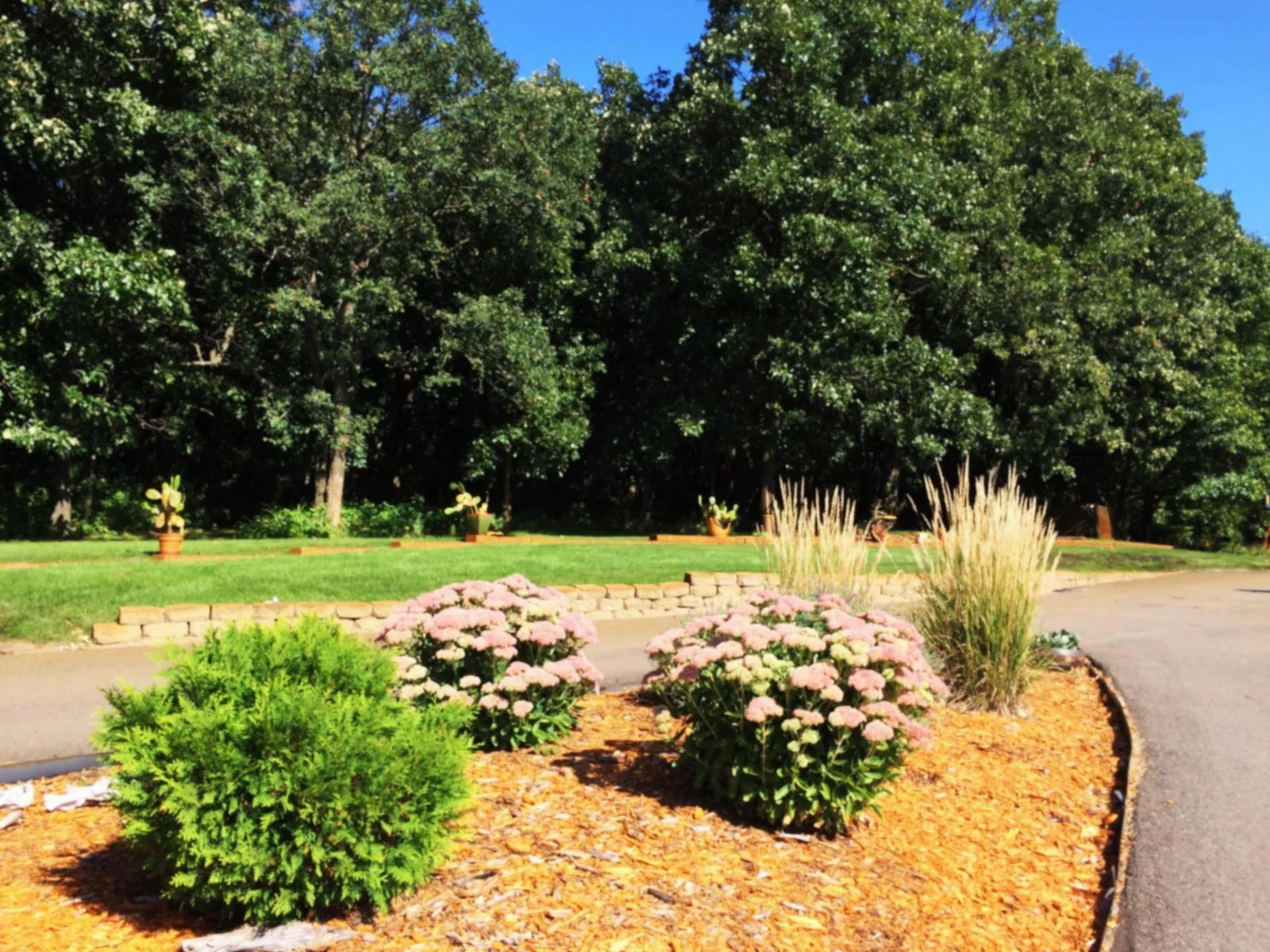 Abundant perennial gardens.