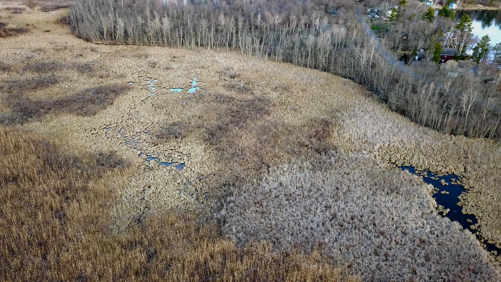 Smith lake 3.jpg